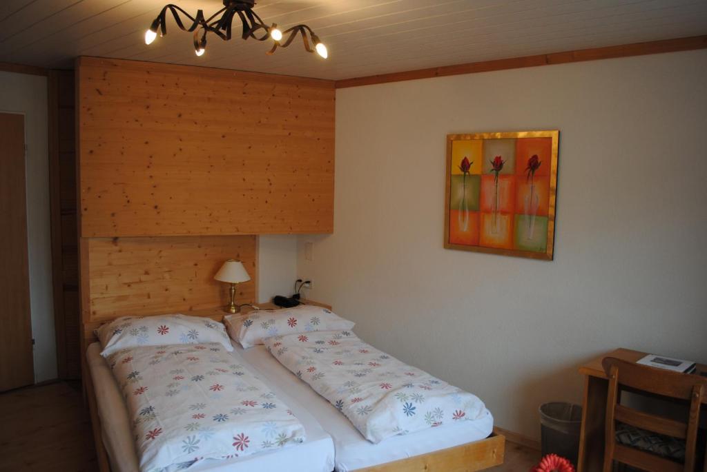 Chalet Hotel Adler Ag Кандерштег Номер фото